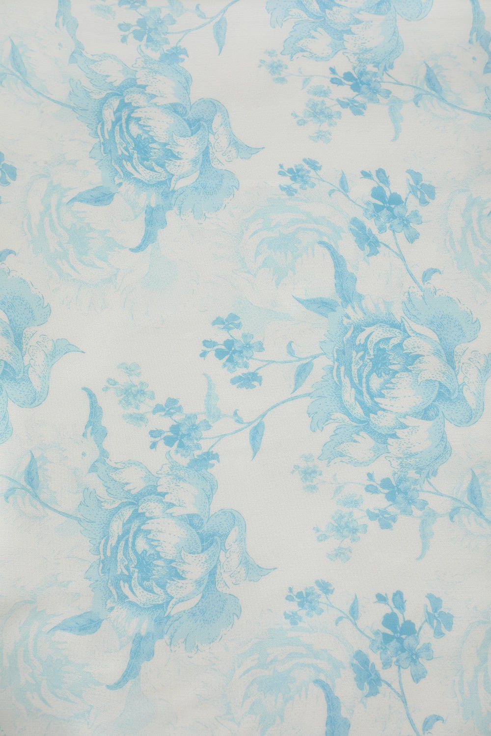 White and Blue Flower